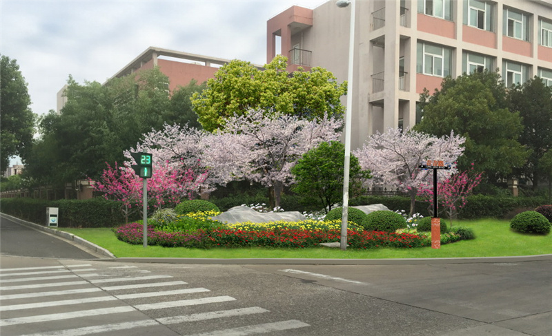 镇海区蛟川街道小城镇环境综合整治（金丰路-中官路-金锚路）产镇文化提升工程